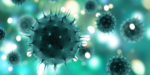 What’s The Role Of Viruses In The Development Of Multiple Sclerosis?